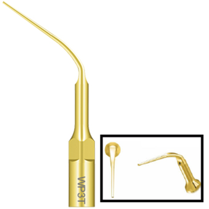 06 - P. ULTRASSÔNICAS PERIODONTAL CLÍNICA DOURADA WP3T