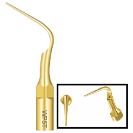 08 - P. ULTRASSÔNICAS PERIODONTAL CLÍNICA DOURADA WP5T